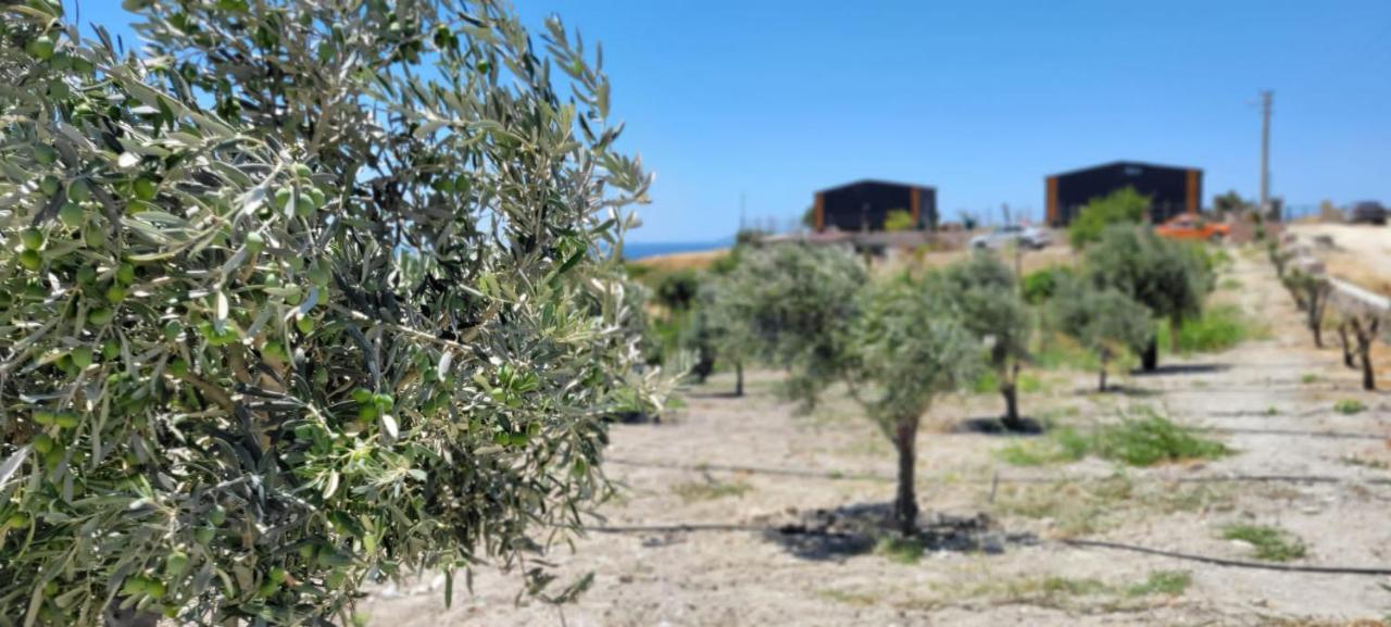 Zeytiny l Tiny Houses&Farm l Çeşme Extérieur photo